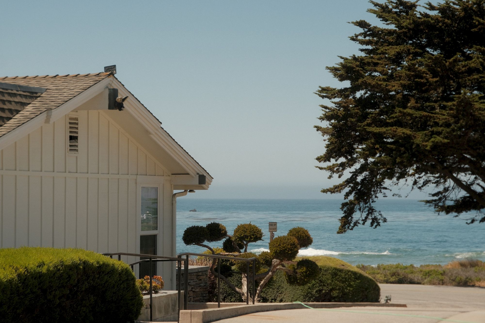 A coastal house with trimmed bushes overlooks the ocean under a clear sky, with a large tree in the foreground.