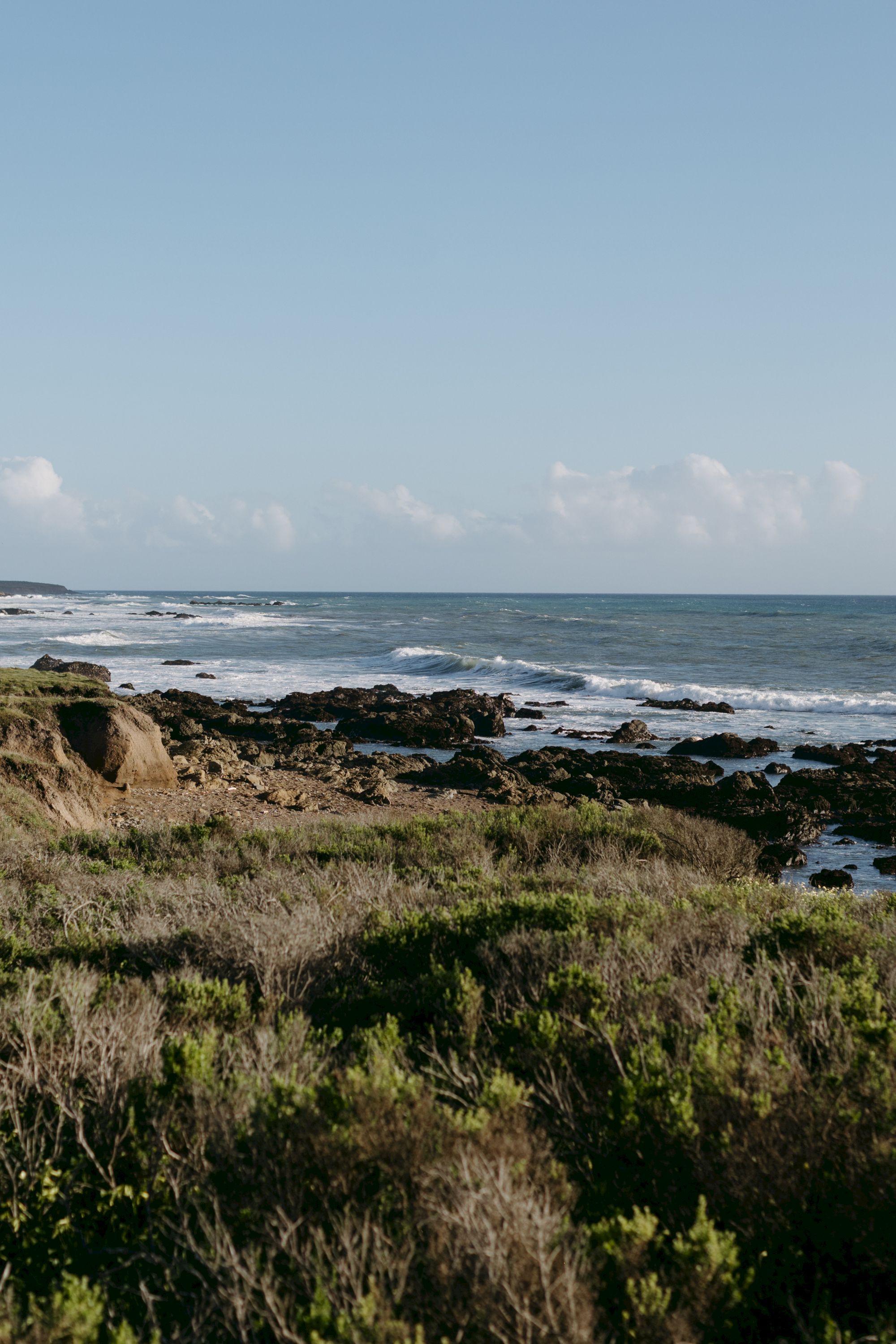 A rocky coastline with low shrubs in the foreground, calm blue sea stretching to the horizon, and a clear sky with a few clouds, tranquil coastal scene.