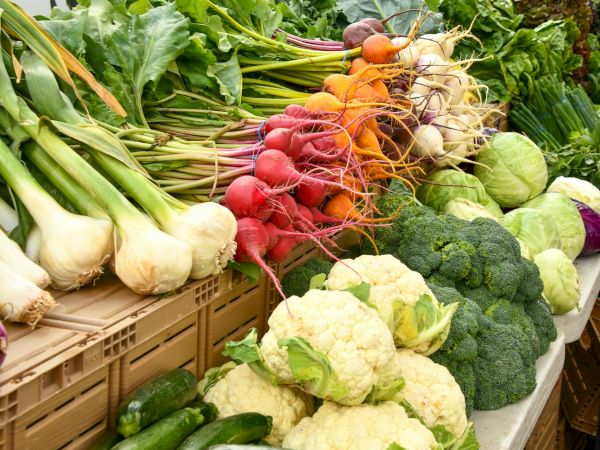 Fresh produce at a market: white onions, radishes, carrots, broccoli, cauliflower, cabbage, peppers, and greens neatly arranged.