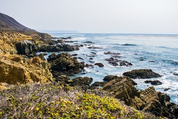A rocky coastline with waves crashing against the rocks, set under a clear sky, surrounded by sparse, coastal vegetation.