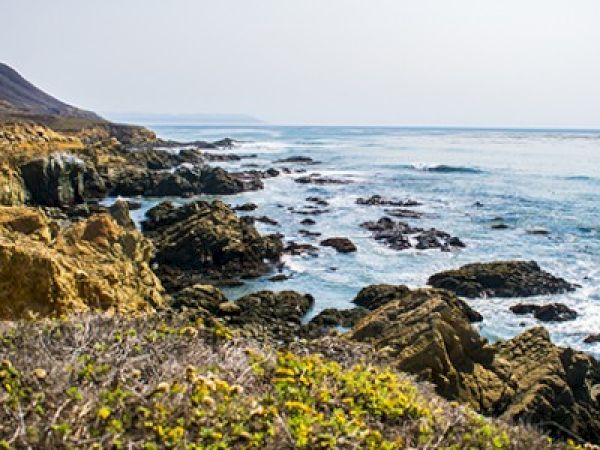 A rocky coastline with waves crashing against the rocks, set under a clear sky, surrounded by sparse, coastal vegetation.