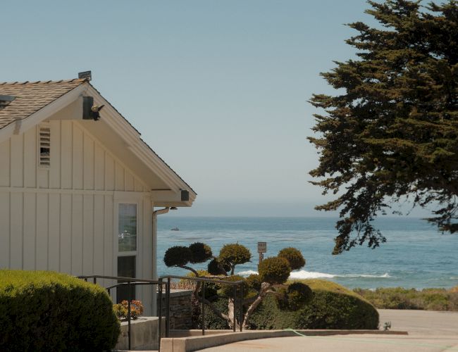 A white coastal house by a path, trimmed bushes, and view of the ocean with a large tree on the right.