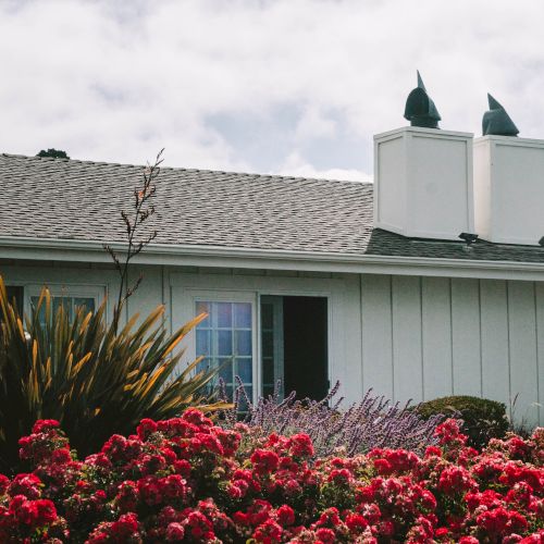 A cheerful suburban scene with a white house, red flowering bushes in the foreground, and a blue sky with scattered clouds.