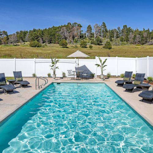 A sunny resort pool scene with lounge chairs, umbrellas, and a clear blue pool, surrounded by palm trees and buildings in the background.