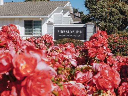 A row of vibrant pink roses fronts a white building with a sign reading &ldquo;Fireside Inn&rdquo; under a clear blue sky.