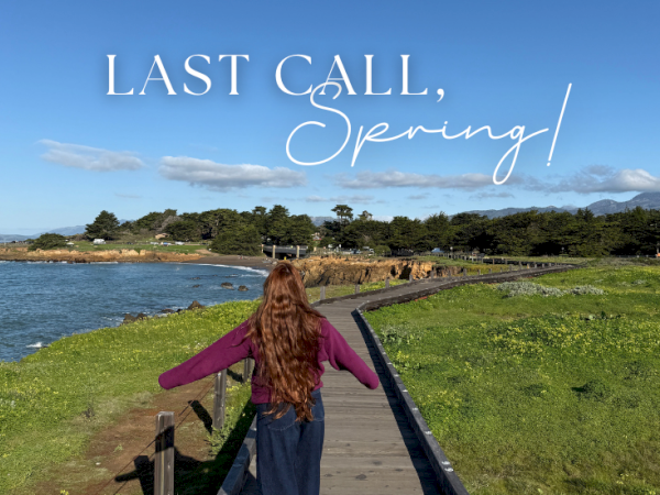 A person with long hair walks on a wooden boardwalk toward water, lush green shore, blue sky, and &ldquo;Last Call, Spring!&rdquo; text across top.